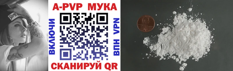Alfa_PVP СК Светлогорск