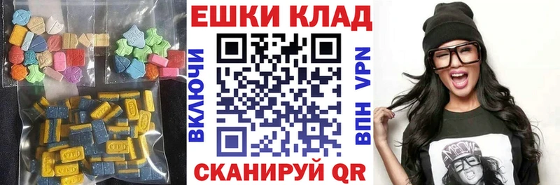 как найти закладки  Светлогорск  ЭКСТАЗИ диски 