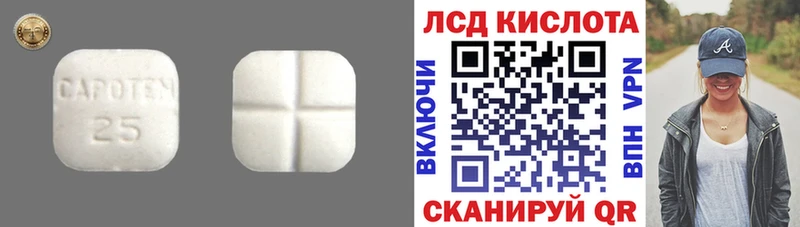 ЛСД экстази кислота  где купить   Светлогорск 