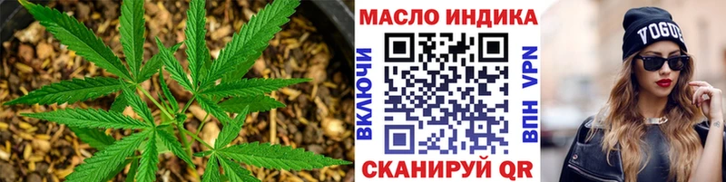 МЕГА ссылка  Светлогорск  Дистиллят ТГК гашишное масло 