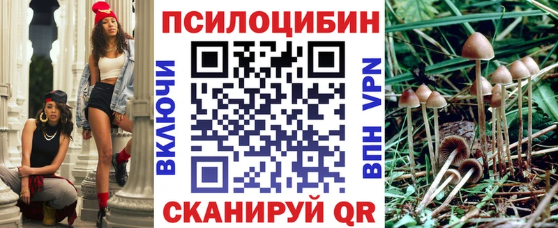 сколько стоит  Светлогорск  Галлюциногенные грибы ЛСД 